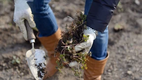 Fitnesstraining hinterm Gartenzaun