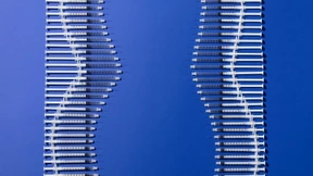 „Ich habe das Essen einfach vergessen!“