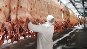 Zeitarbeitsfirmen klagen gegen Verschärfungen für die Fleischbranche