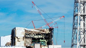 Die Wahrheitssuche geht weiter