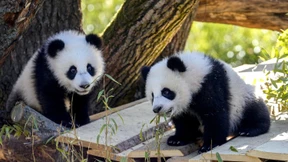 Leni und Lotti feiern Geburtstag