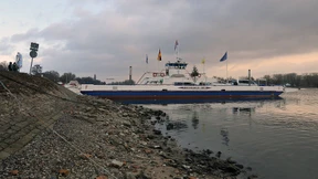 Dringender Hilferuf vom Rhein