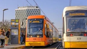 Besser raus aufs Land