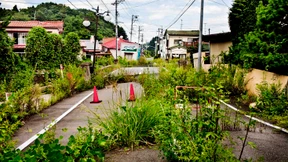 Die lauten Vögel von Fukushima