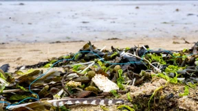 Recycling allein ist nicht die Lösung