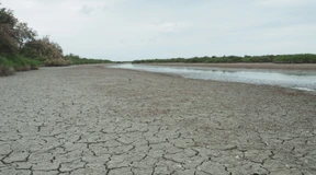 Klimawandel wird laut Experten in großen Teilen ungebremst erfolgen
