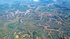 Was den Wald bei Dürre schützt