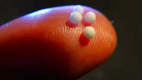 Zwischen Bildung und Esoterik