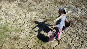 Der weltweite Hunger