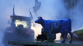 Wozu braucht es Schiedsgerichte?