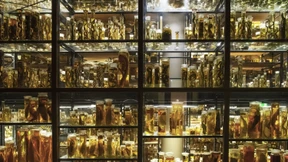 Huch, nur weiße Männer!