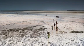 Zopfverbot für Männer aus Sansibar