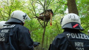 Rückblick auf den Kampf um den Hambacher Forst