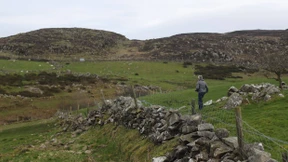 Brüssel beharrt auf Garantien für Irische Insel