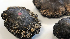 Beim Tiefseebergbau droht Wildwest