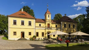 „Ausbeutung unseres guten Rufs“: Schloss Proschwitz wehrt sich gegen AfD-Wahlwerbung