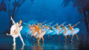 Schwanensee verbieten?