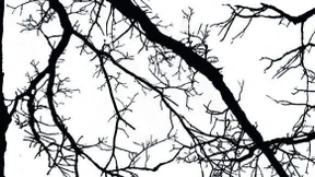 Den medizinischen Fortschritt wollen wir hier nicht!