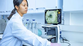 Wie lange wird für Fleisch noch getötet?