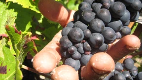 „Ich wurde wie ein Sklave behandelt“