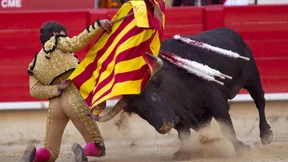 Verfassungsrichter heben Stierkampfverbot auf