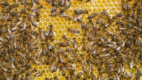 Ordentlich, pünktlich – langweilig?