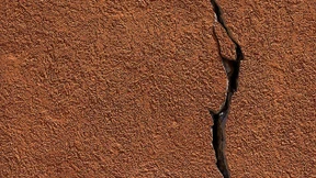 Die Athleten schweigen nicht mehr