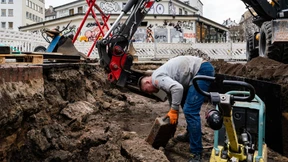 Platz schaffen für mehr Bäume