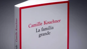 Ein Buch bringt das Establishment unter Verdacht