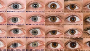 Ein Skelett mit blauen Augen