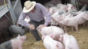 Mehr Geld für hessische Bio-Bauern