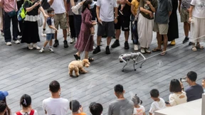 Trump gibt Nvidia-Chips für China frei