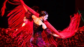 Darum wird 2017 garantiert alles besser