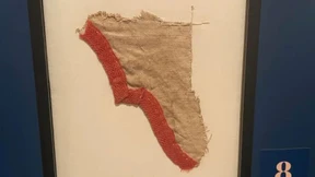 Fund im Charity-Shop