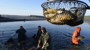EU-Staaten einigen sich auf niedrigere Fischquoten