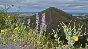 Der Louvre im Kohlebecken