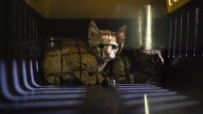 Tränenreiches Wiedersehen nach Explosionen