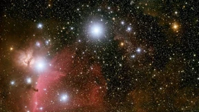 Die Kunst modellhafter Welterkenntnis