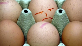 Ermittlungen gegen deutsche Landwirte im Eier-Skandal