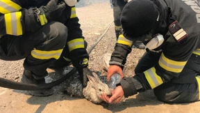 Waldbrände am Mittelmeer wüten weiter