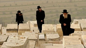 Kommt ein Pferd in eine Bar