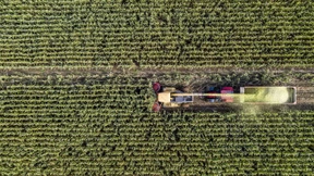 EU will Umweltvorschriften verschärfen