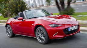 Knackiger Kassenschoner