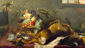 Wildbret, das neue ökologische Superfood?