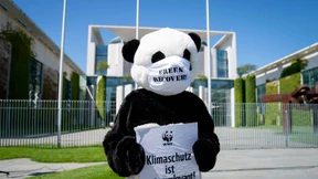 Corona schönt die Klimabilanz