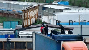 Russland lässt Wale frei