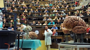 Fernziel: Doktor sein