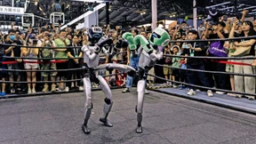 Der Boxkampf der KI-Tiger