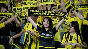 BVB kooperiert mit Magath