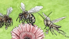 Was wir fordern dürfen